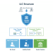 Diagram showing an LLC with members, liability shield, and tax options