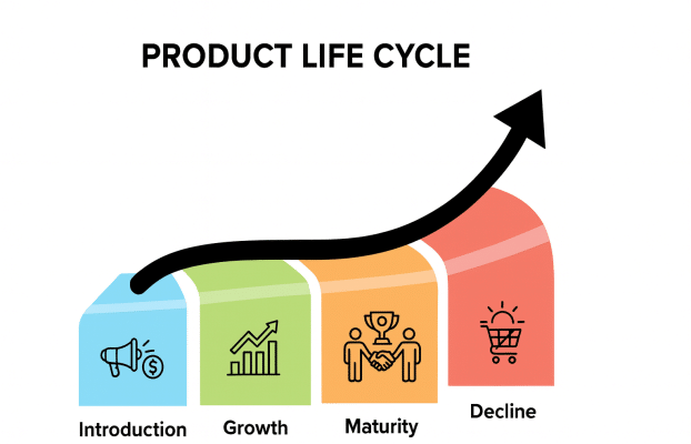 Infographic showing product life cycle stages from introduction to decline with visual icons and timeline.