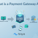 What is a payment gateway API secure transaction infographic